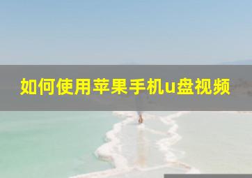 如何使用苹果手机u盘视频