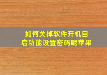 如何关掉软件开机自启功能设置密码呢苹果