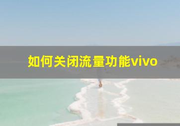 如何关闭流量功能vivo