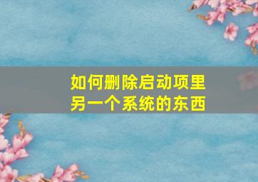 如何删除启动项里另一个系统的东西