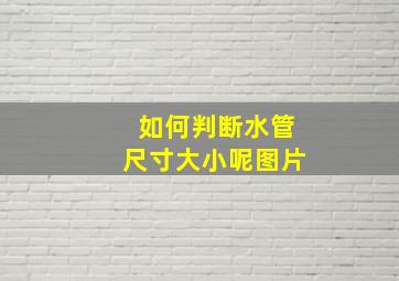 如何判断水管尺寸大小呢图片