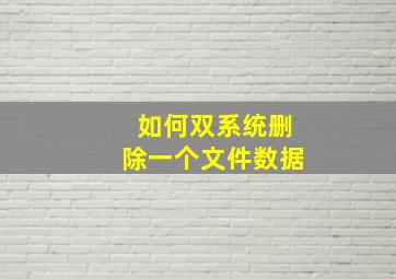 如何双系统删除一个文件数据