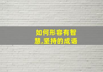 如何形容有智慧,坚持的成语