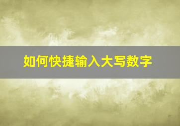 如何快捷输入大写数字