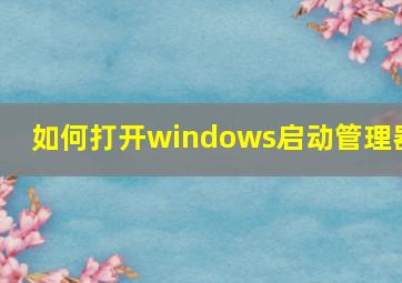 如何打开windows启动管理器