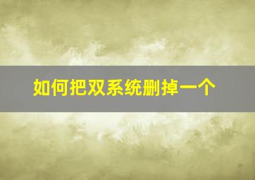 如何把双系统删掉一个