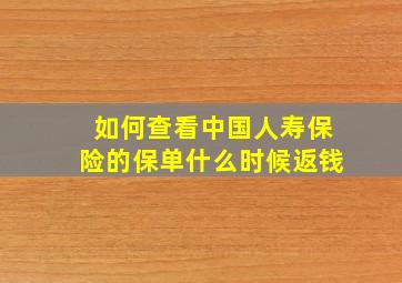 如何查看中国人寿保险的保单什么时候返钱