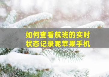 如何查看航班的实时状态记录呢苹果手机