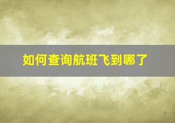 如何查询航班飞到哪了