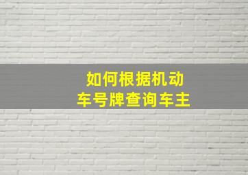 如何根据机动车号牌查询车主