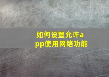 如何设置允许app使用网络功能