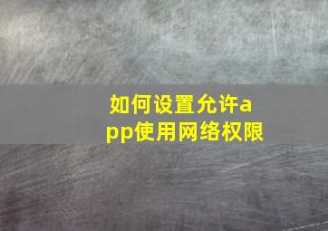 如何设置允许app使用网络权限