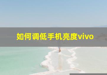 如何调低手机亮度vivo