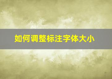 如何调整标注字体大小