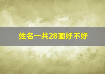 姓名一共28画好不好