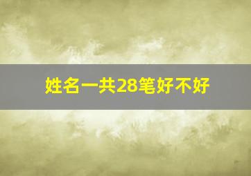 姓名一共28笔好不好