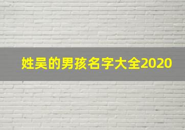 姓吴的男孩名字大全2020