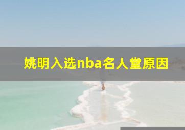 姚明入选nba名人堂原因