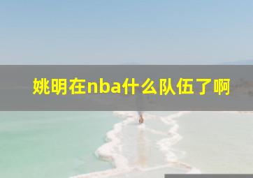 姚明在nba什么队伍了啊