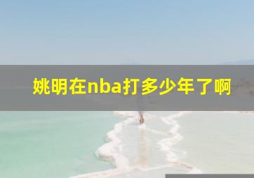 姚明在nba打多少年了啊