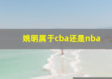 姚明属于cba还是nba