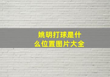 姚明打球是什么位置图片大全