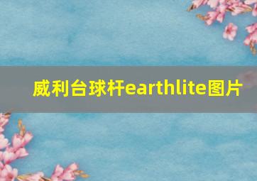 威利台球杆earthlite图片