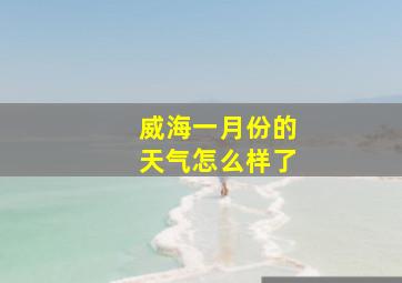 威海一月份的天气怎么样了