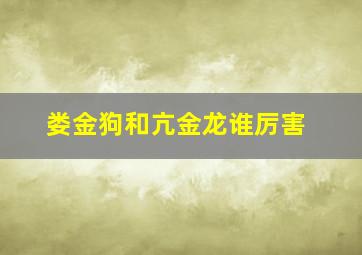 娄金狗和亢金龙谁厉害