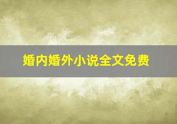 婚内婚外小说全文免费