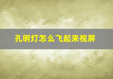 孔明灯怎么飞起来视屏