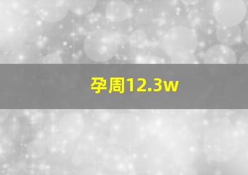 孕周12.3w