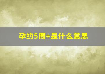 孕约5周+是什么意思