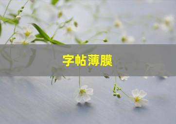 字帖薄膜