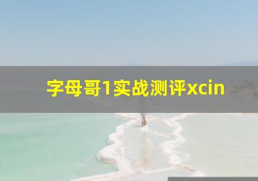 字母哥1实战测评xcin