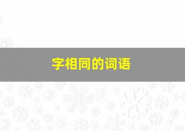 字相同的词语