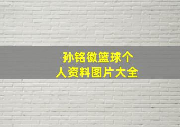 孙铭徽篮球个人资料图片大全