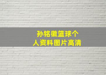 孙铭徽篮球个人资料图片高清