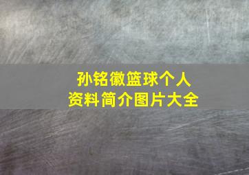 孙铭徽篮球个人资料简介图片大全