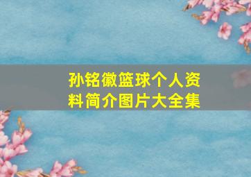 孙铭徽篮球个人资料简介图片大全集