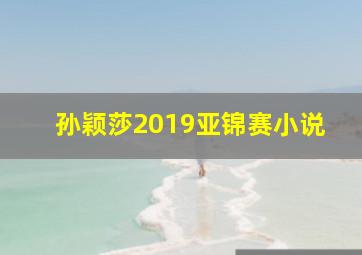 孙颖莎2019亚锦赛小说