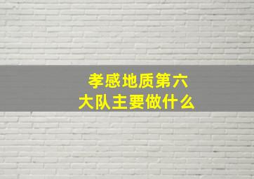 孝感地质第六大队主要做什么