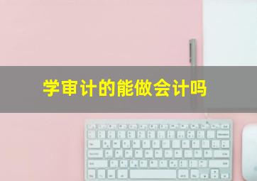 学审计的能做会计吗