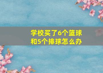 学校买了6个篮球和5个排球怎么办