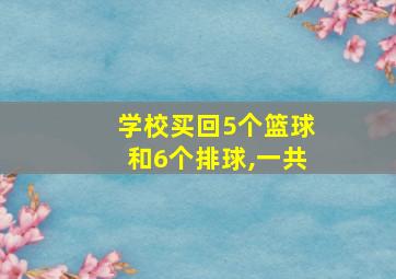 学校买回5个篮球和6个排球,一共