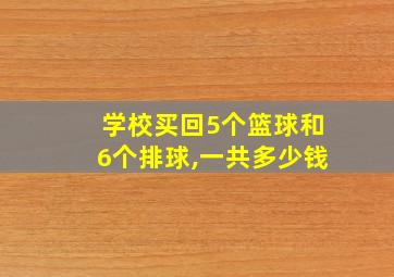 学校买回5个篮球和6个排球,一共多少钱