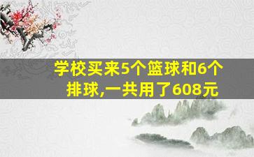 学校买来5个篮球和6个排球,一共用了608元