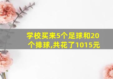 学校买来5个足球和20个排球,共花了1015元