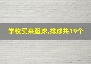 学校买来篮球,排球共19个