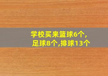 学校买来篮球6个,足球8个,排球13个